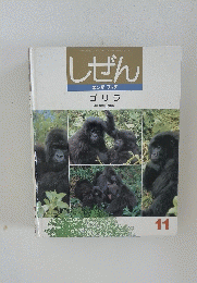 しぜん　11　ゴリラ