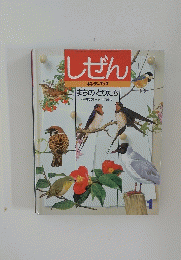 しぜん 1月号　まちのとりたち