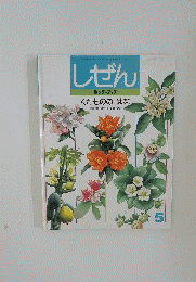 しぜん 1996年5月号　くだもののはな