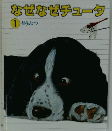 なぜなぜチュータ　1　どうぶつ