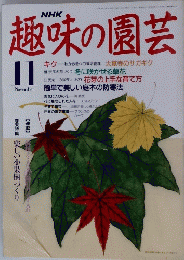 NHK　趣味の園芸　１１月号