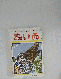 鳥い赤　６月号