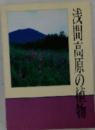 浅間高原の植物