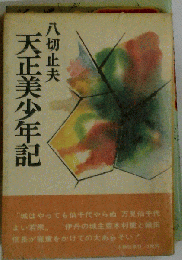 天正美少年記