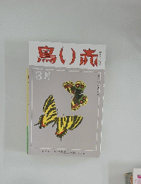赤い鳥 　3月号
