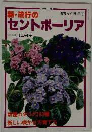 園芸ガイド別冊６セントポーリア