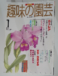 趣味の園芸平成10年1月1日発行