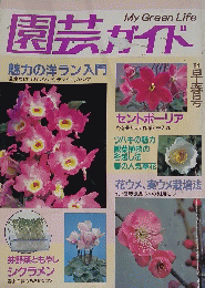 園芸ガイド　'84早春号