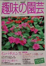 NHK趣味の園芸　1999年7月号
