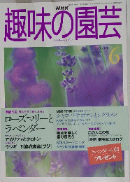 NHK趣味の園芸　1998年6月号