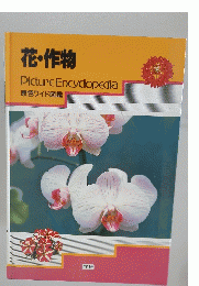 花・作物
