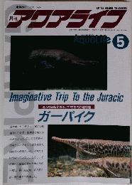 アワアライコ　5