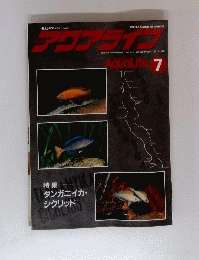 アクアライフ　1995年7月号