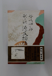 新訳源氏物語