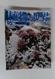 植物の世界　95