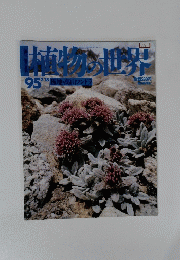 植物の世界　95　2/18　 極地・高山 ツンドラ