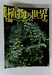 植物の世界　126