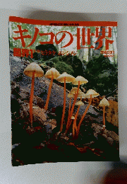 キノコの世界
