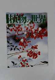 植物の世界
