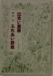 出会い湿原　ふれあい野鳥