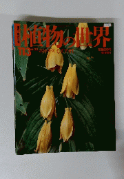 植物の世界　１１３　６月２３日号