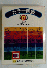 カラー図鑑　17　りか（２）
