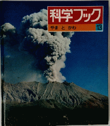 科学ブック　やまとかわ　13