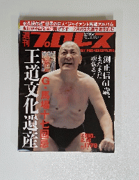  PRO-WRESTLING 