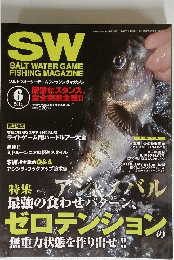 SW　2014年6月号