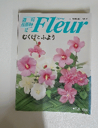 Fleur　むくげとふよう　1995年5月25日号