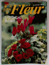 Fleur　1995年　11月号
