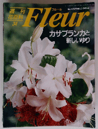 Fleur　カサブランカと新しいゆり