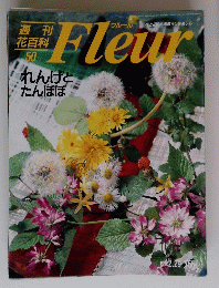 Fleur 50
