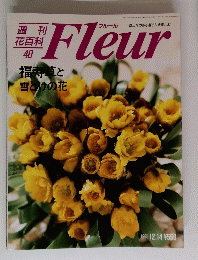 週刊　花百科４０　Fleur　１９９５年12月号