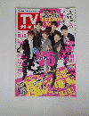TVダイド　2013年号