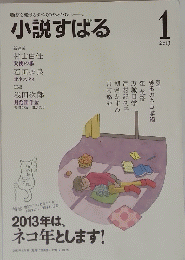 小説すばる　2013年1月号