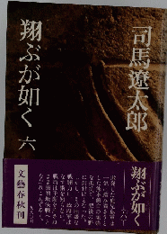 翔ぶが如く　六
