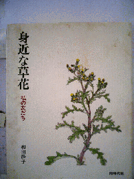 身近な草花 私の友だち