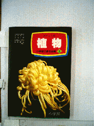 植物