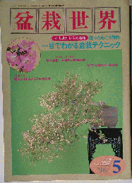 盆栽世界 1996年05月号