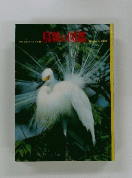鳥類の図鑑