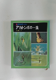 アカトンボの一生