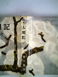 新書太閤記「第二巻」