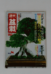近代盆栽　1981年8月
