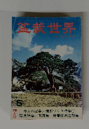 盆栽世界　’75　5