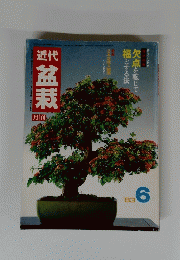 盆栽　　1983年6月号