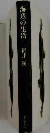 海辺の生活 新井満