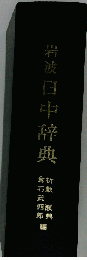 岩波日中辞典