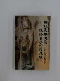 護睛童子陀羅尼經