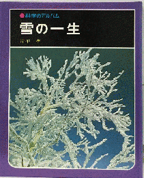 科学のアルバム37 雪の一生
